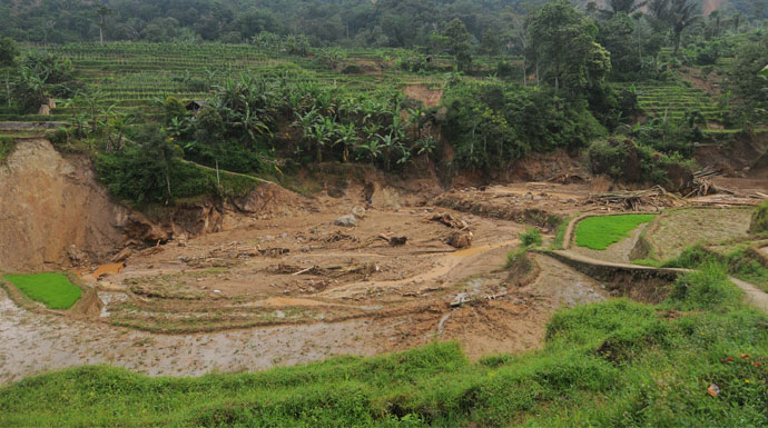 Sawah-Rusak