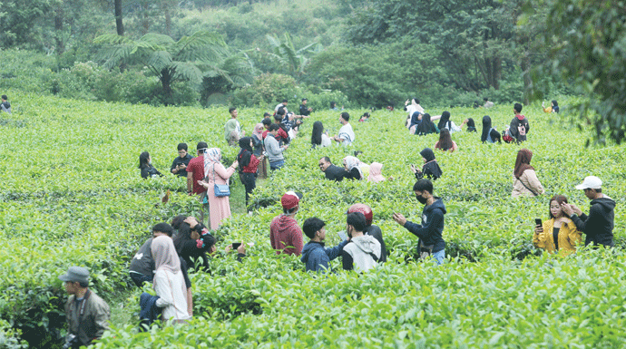 Wisatawan di kawasan Puncak