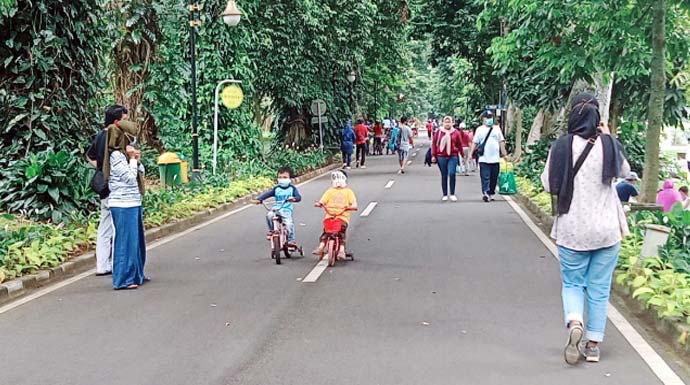 Ilustrasi kesehatan pohon di Kebun Raya Bogor