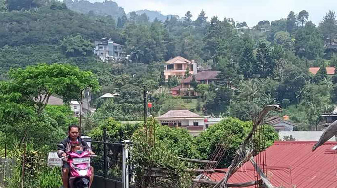 Ilustrasi vila di puncak