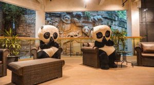 Hotel-panda