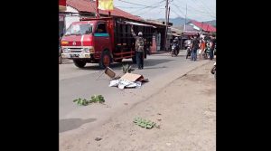 bocah tewas terlindas