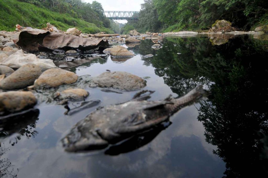 Pencemaran Sungai Cileungsi