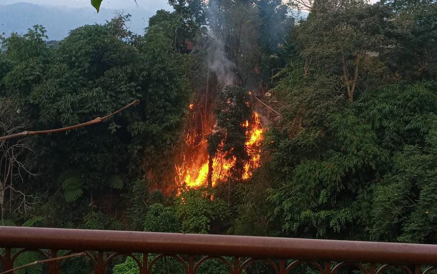 Kebakaran lahan dekat Hotel Seruni Puncak